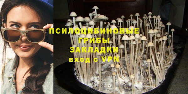 круглые Алексин