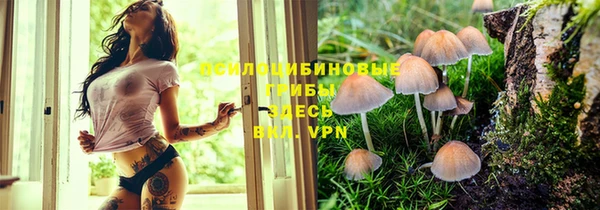 крисы Алзамай